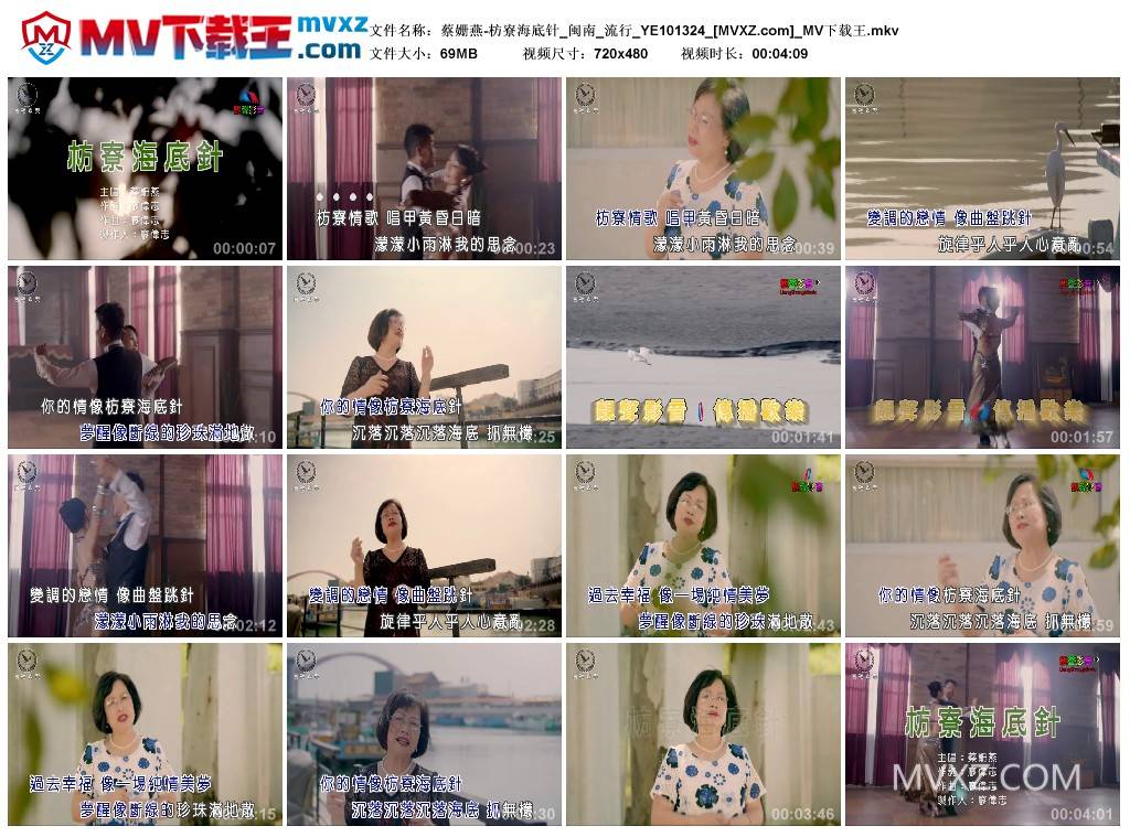 蔡姗燕-枋寮海底针_闽南_流行_YE101324